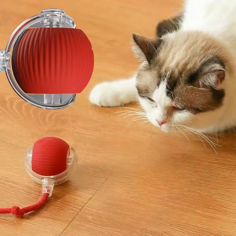 PELOTA ELECTRICA INTERCTIVA PARA GATOS