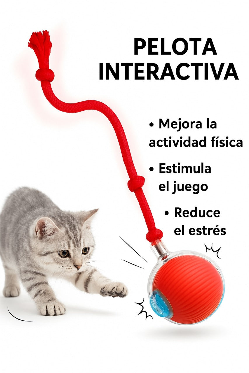PELOTA ELECTRICA INTERCTIVA PARA GATOS
